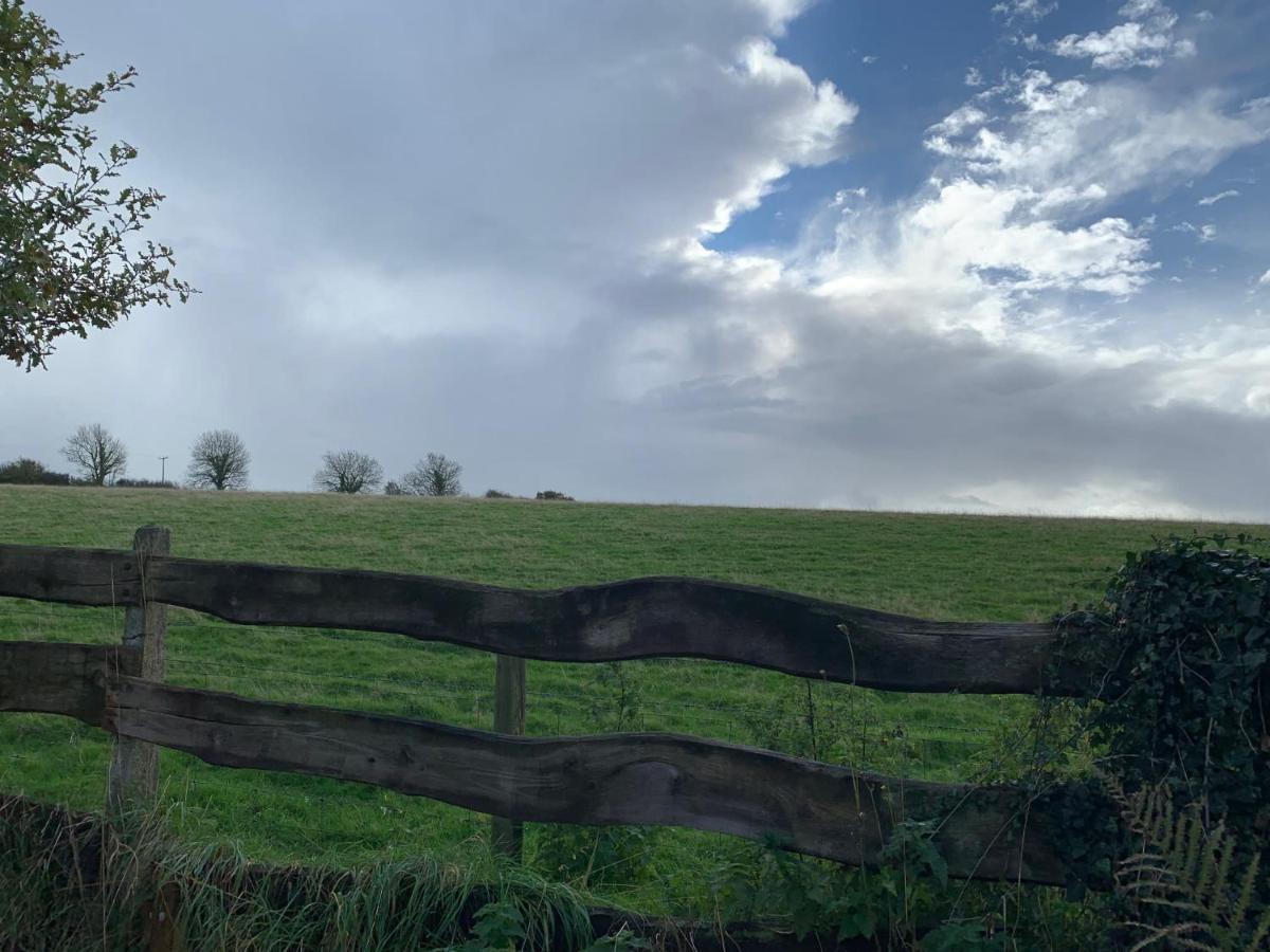 Character Dartmoor Cottage Yelverton Ngoại thất bức ảnh